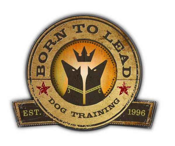 Born to Lead Dog Training, Raleigh NC